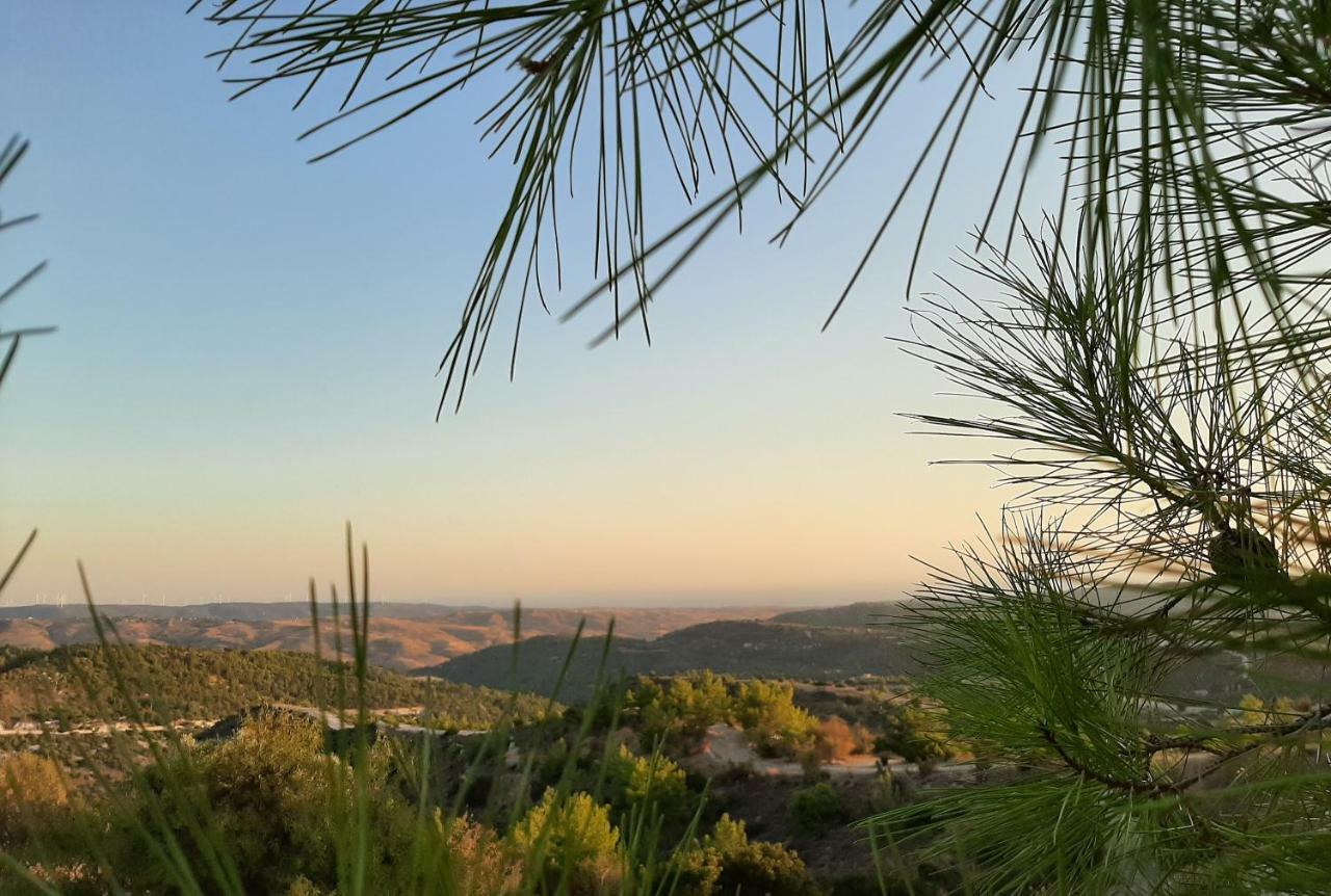 Pendalia Savvas Brian Mountain House In Paphos 빌라 외부 사진